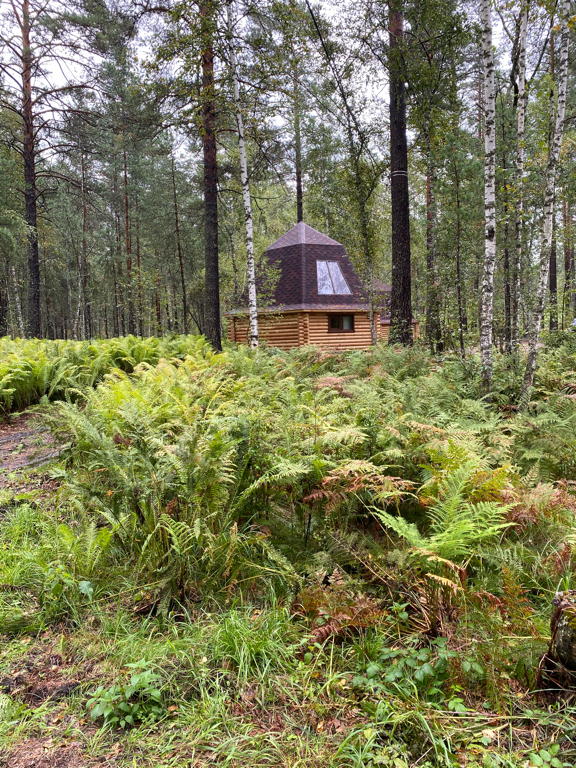 Фото Таналтай