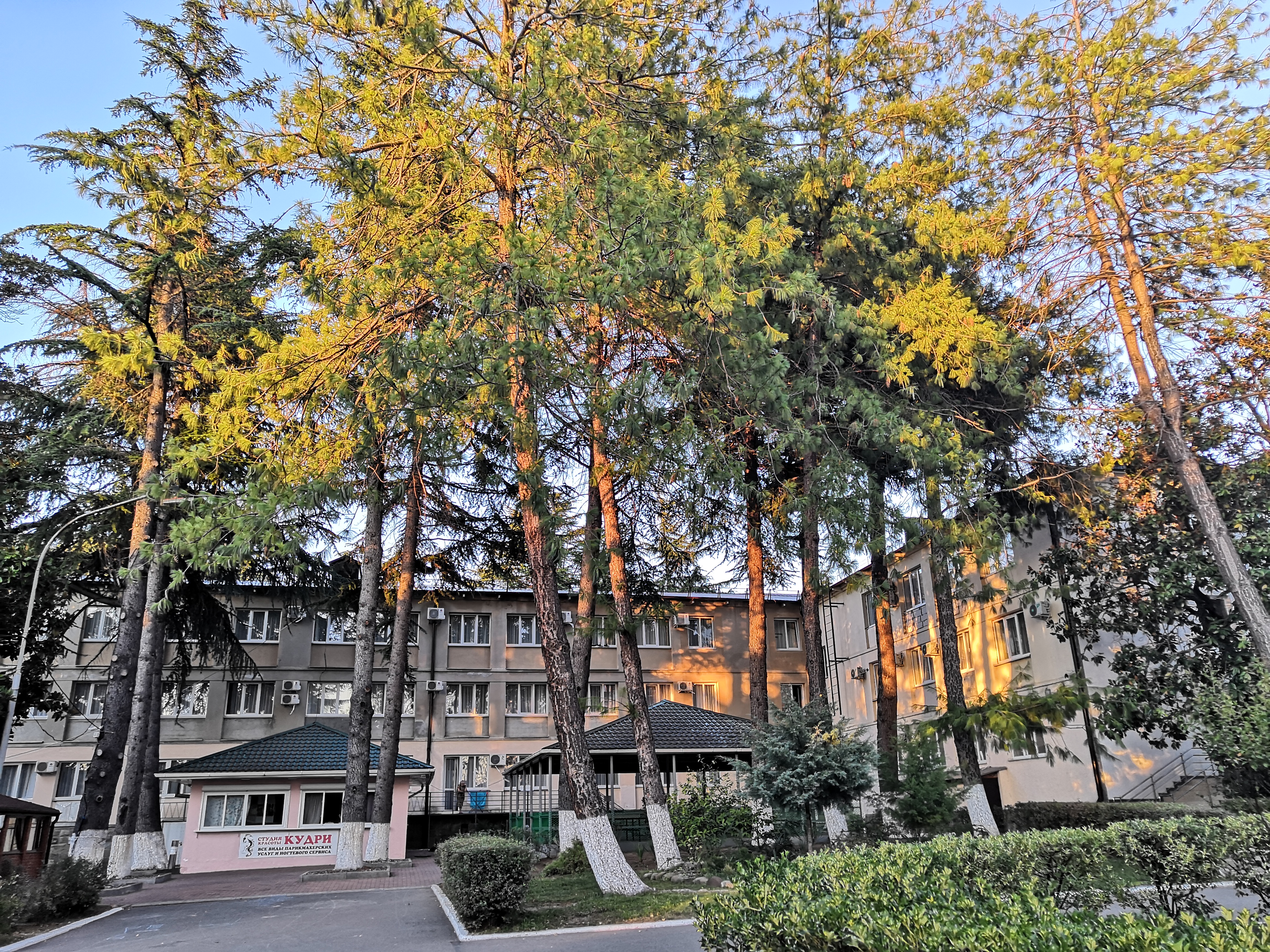 Фото Бирюза