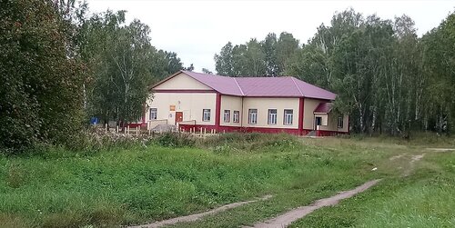 Культурный центр МКУК Балтинское КДО, Новосибирская область, фото