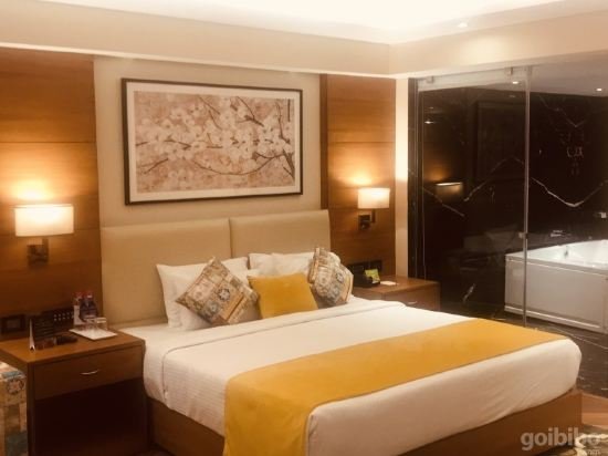 Фото Golden Tulip Jaipur