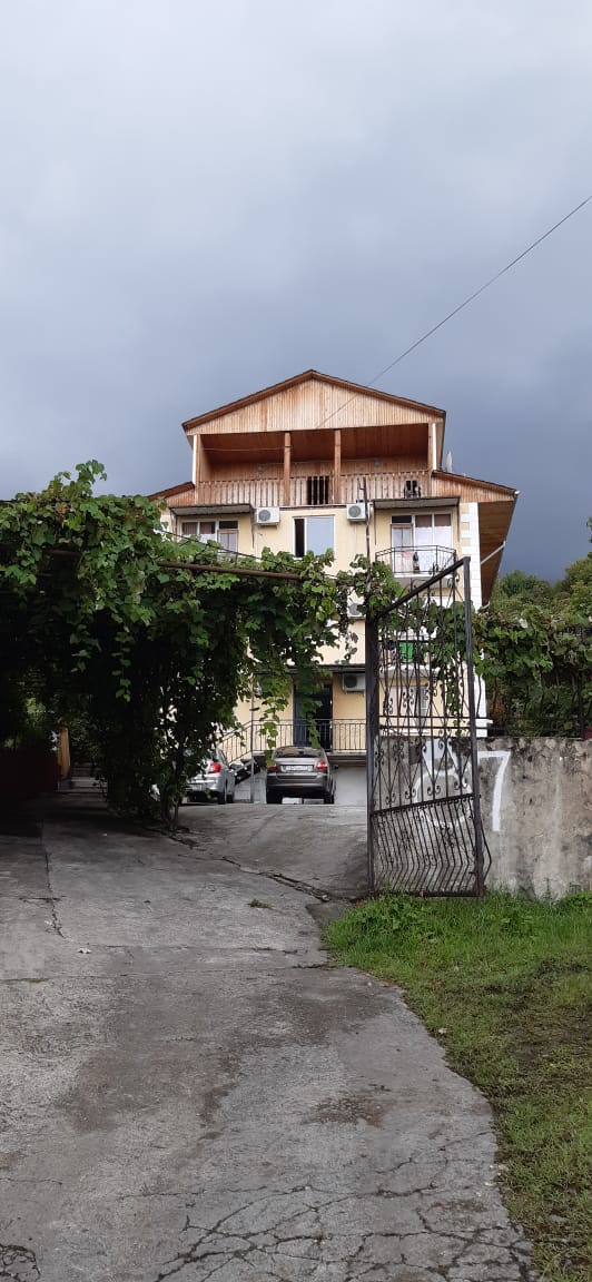 Фото Мандариновый Сад