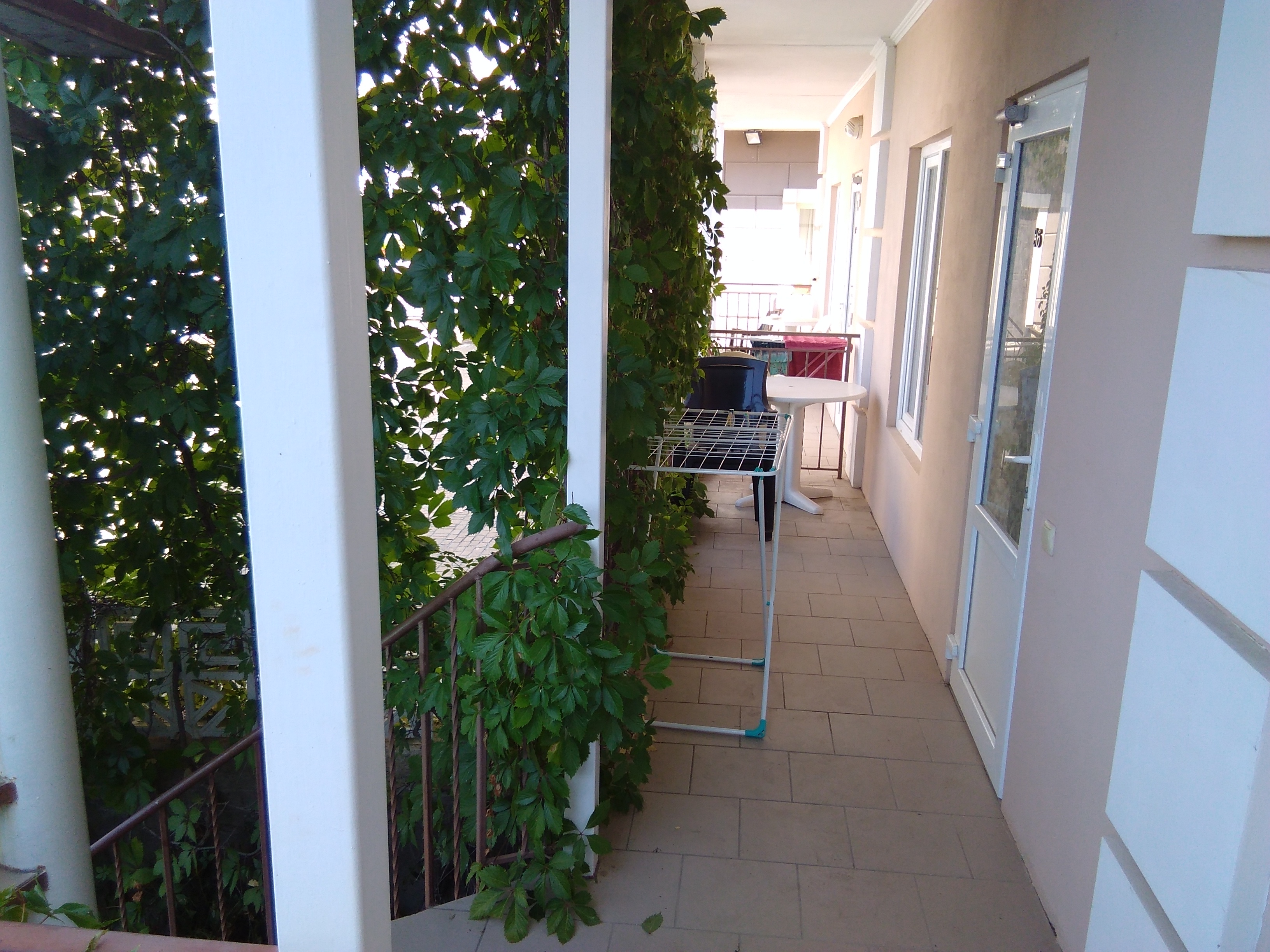 Фото Романтик