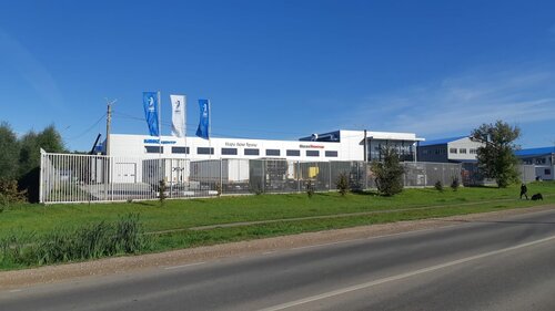 Сексуалды үйсіз адамдар видеосы