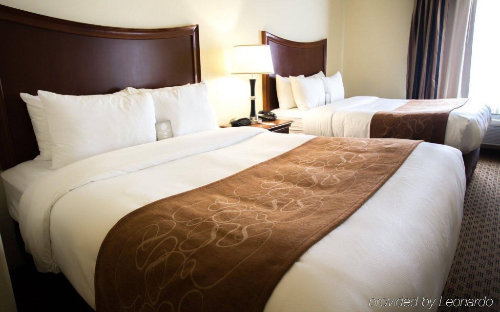 Фото Comfort Suites San Antonio North - Stone Oak