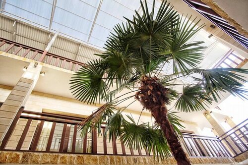 Гостиница Весна в Сухуме