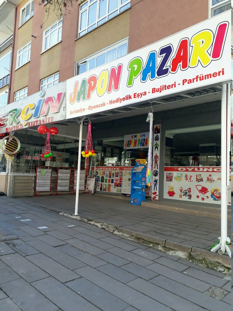 Stationery store Erchin Japanese Sunday birdcage, Ankara, photo