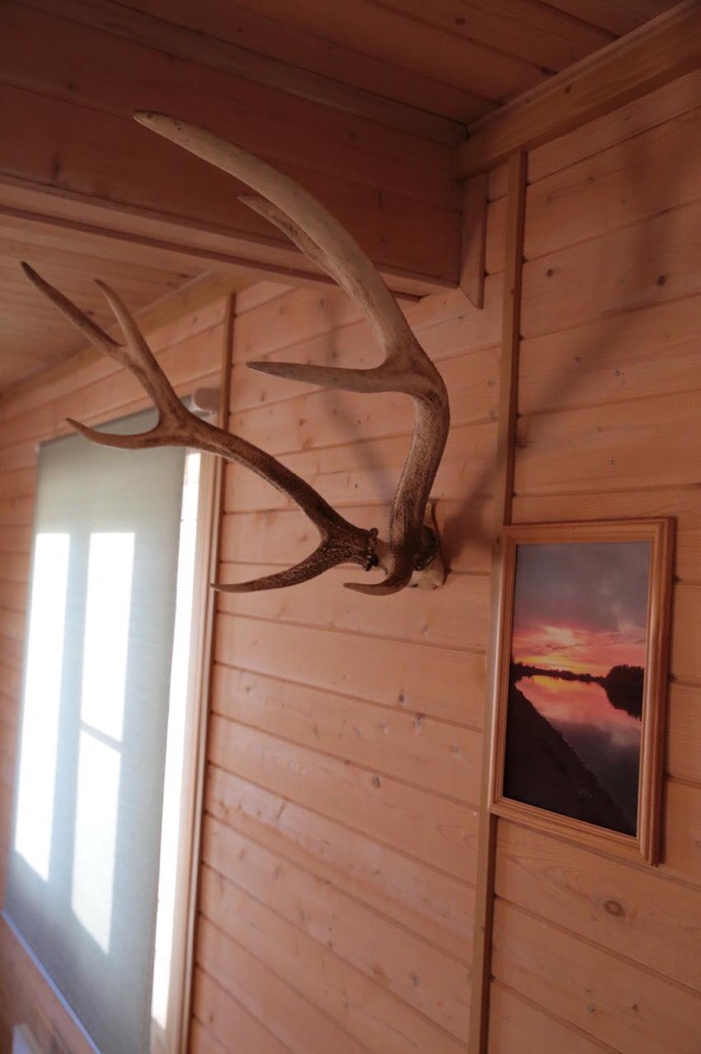 Фото Дед Щукарь