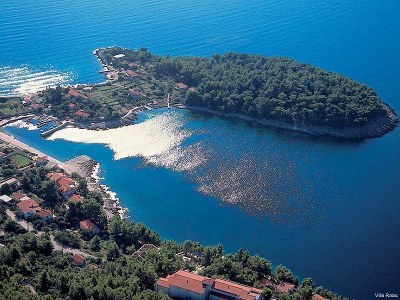 Фото Villa Ratac