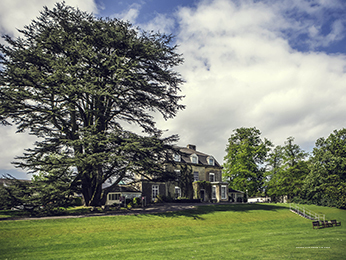 Фото Mercure Nice Marché aux Fleurs Hotel