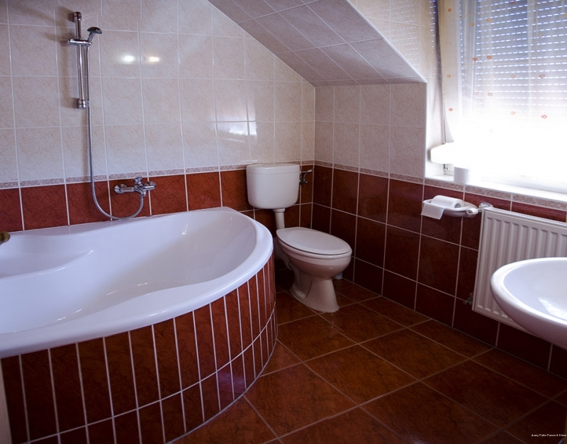 Фото Отель Arany Patkó Hotel & Restaurant