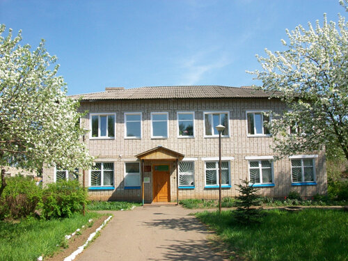 Библиотека Пижанская централизованная библиотечная система, Кировская область, фото