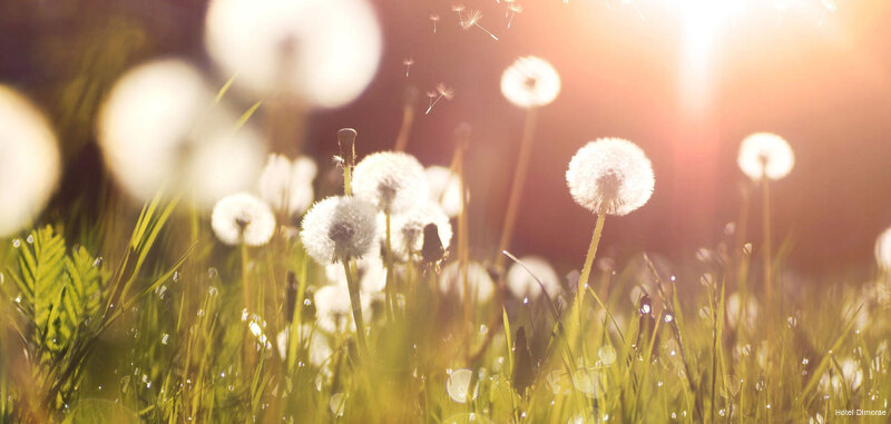 Фото Hotel Dimorae