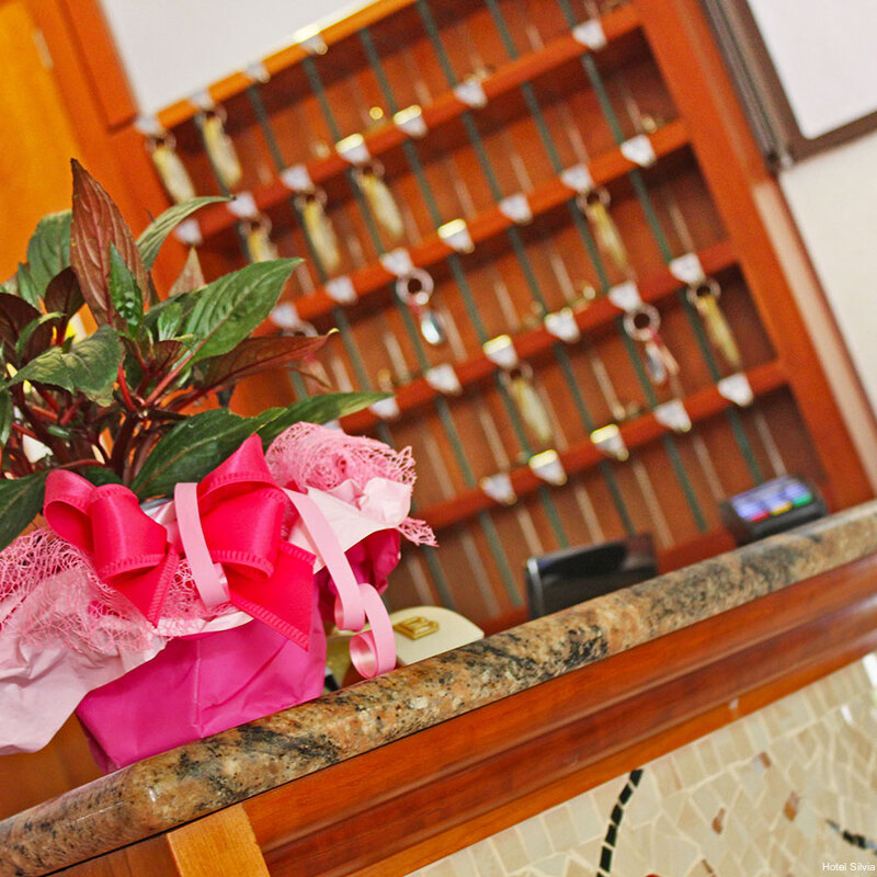 Фото Hotel Silvia Misano Adriatico