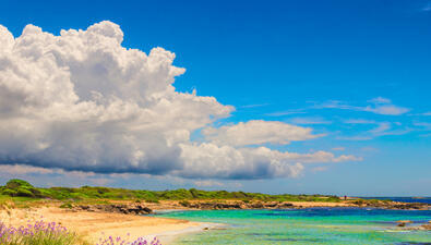 Фото Grande Albergo Internazionale