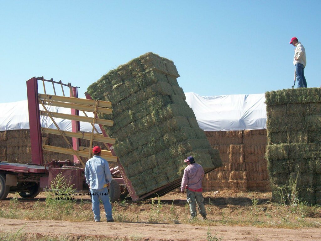Fodder and feed additives Boraoglu Agriculture, Aksaray, photo
