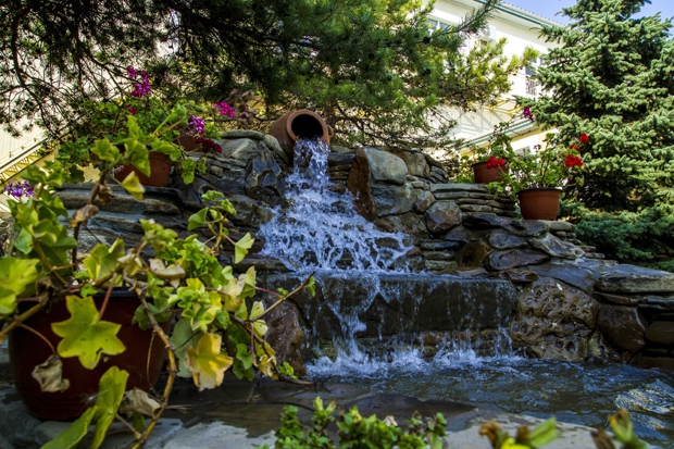 Фото Эдельвейс