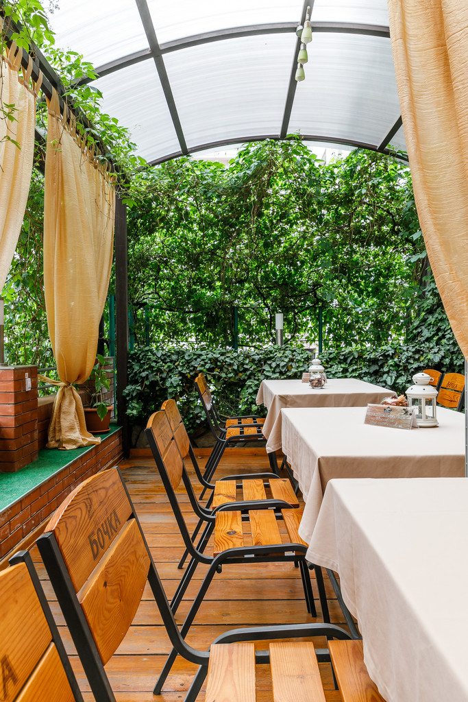 Фото Платан