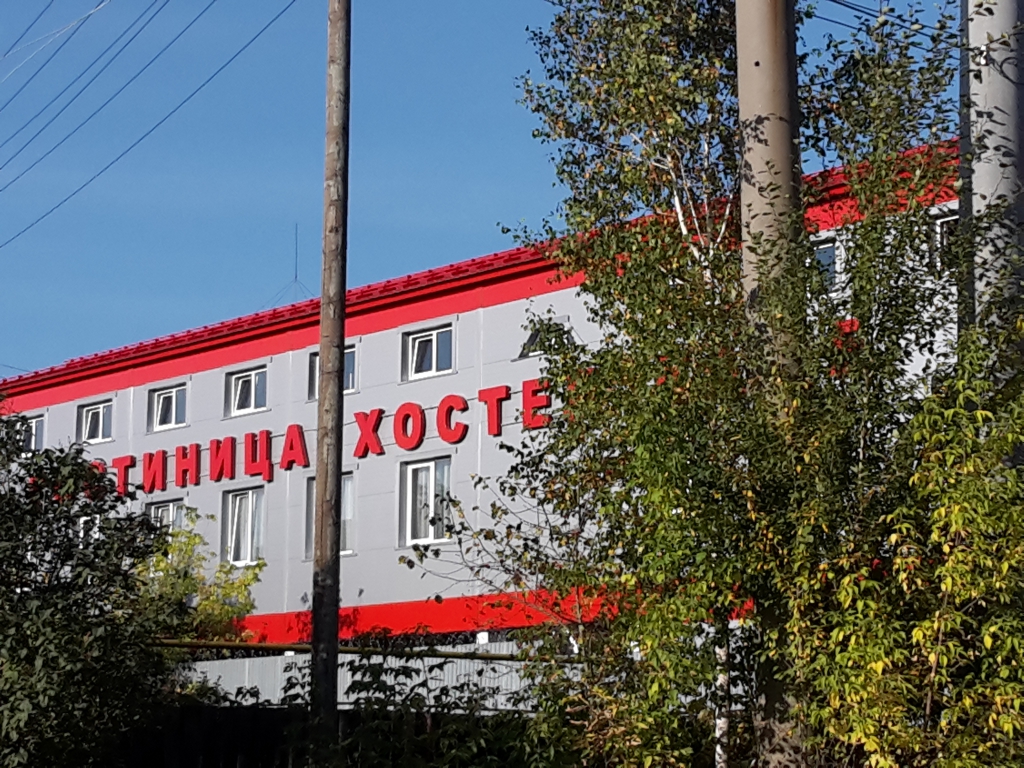 Фото Клевер