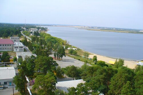 Сосновая роща