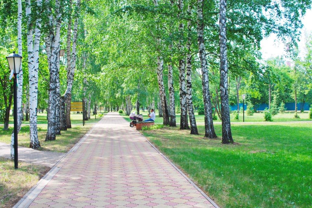 Фото Зеленая роща