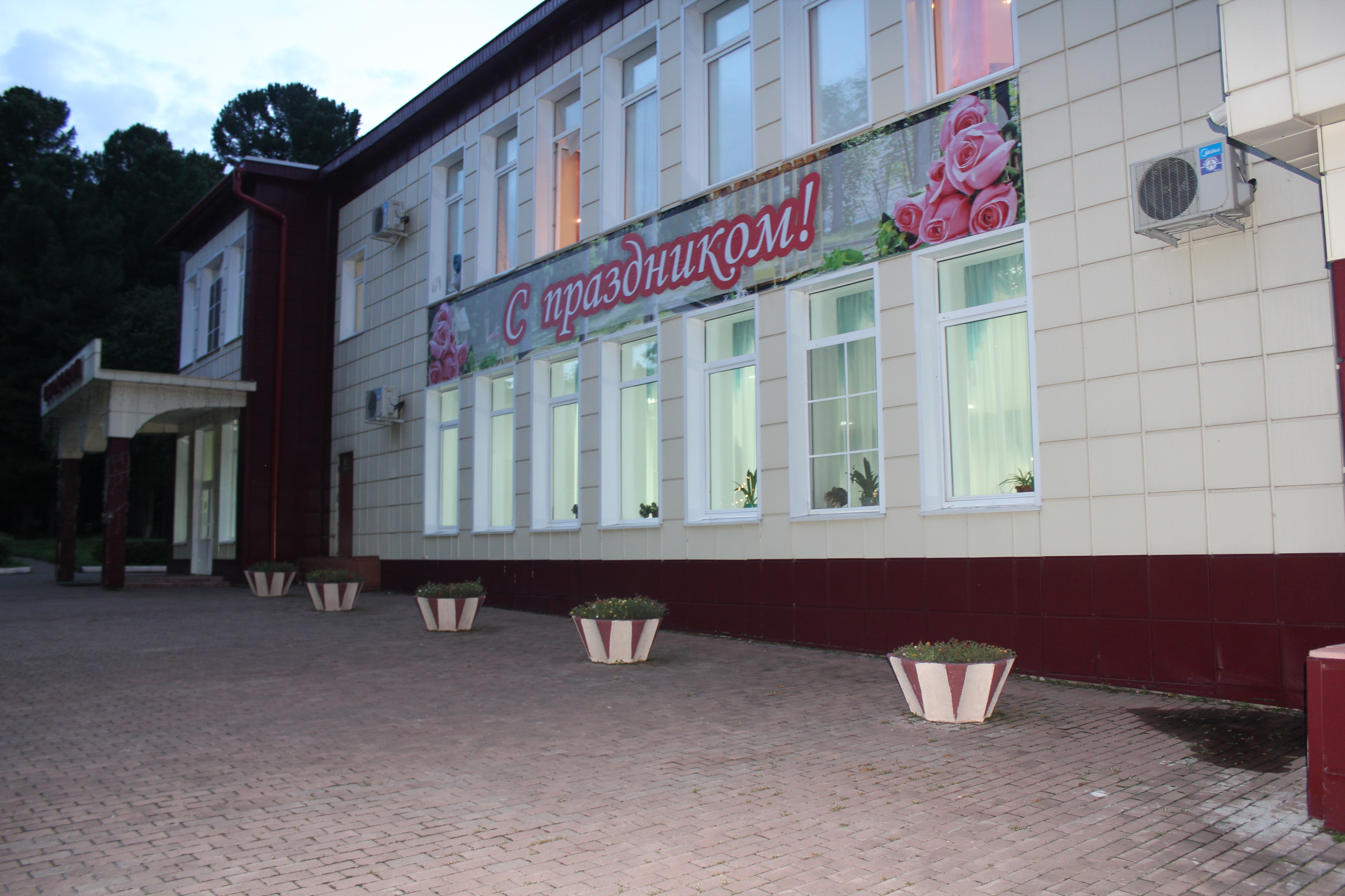 Фото Кедровый бор