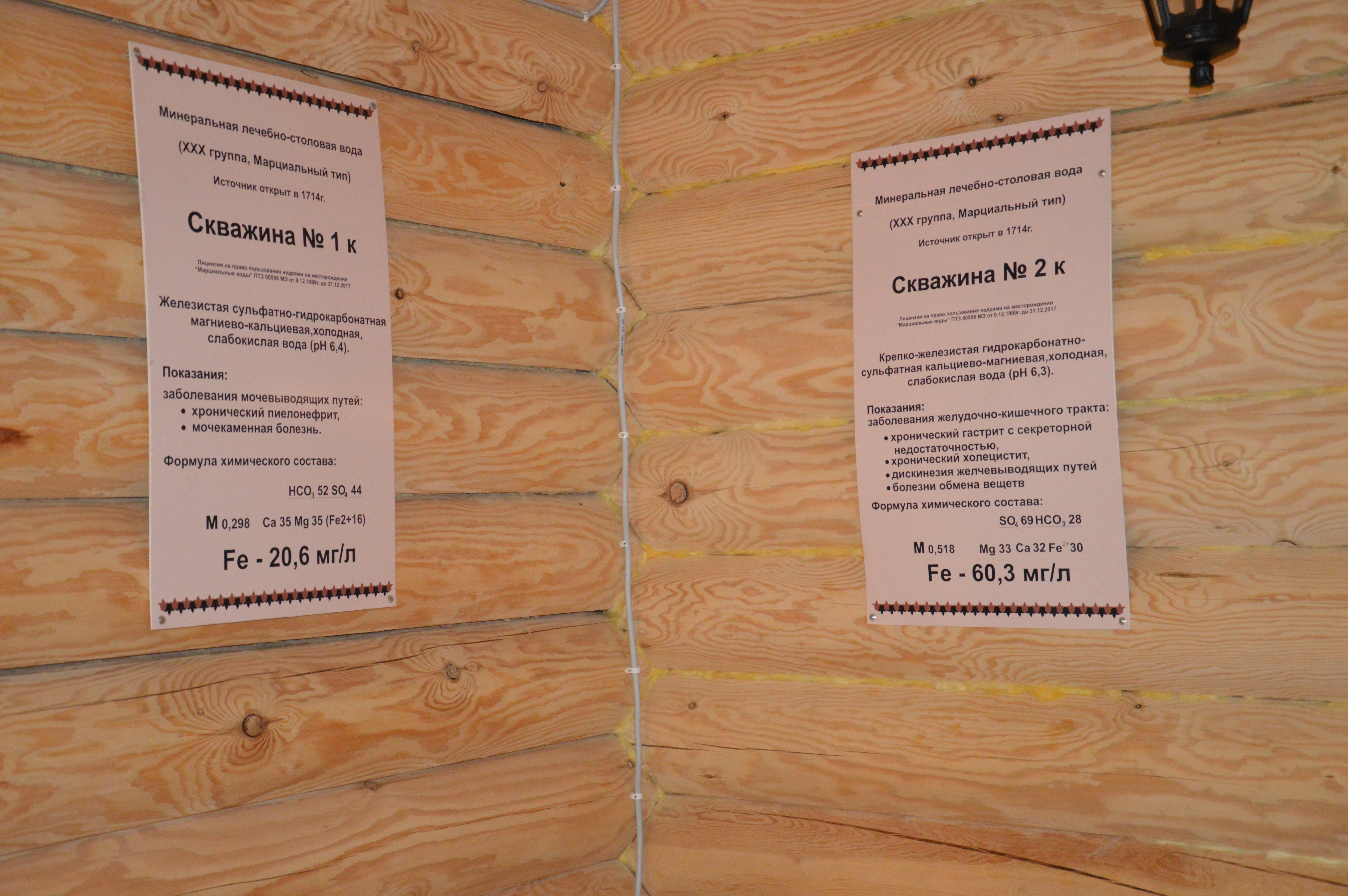 Фото Марциальные воды