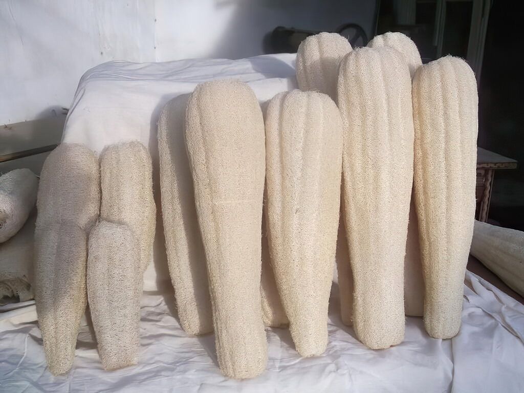 Wholesale company Luffa ru, Mytischi, photo