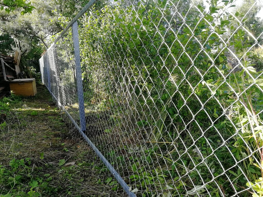 Fences and barriers Zaborvo, Vologda, photo