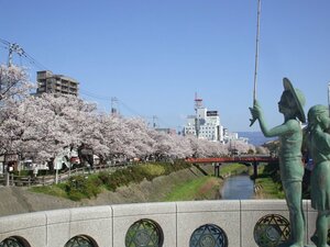 Гостиница Tottori City Hotel