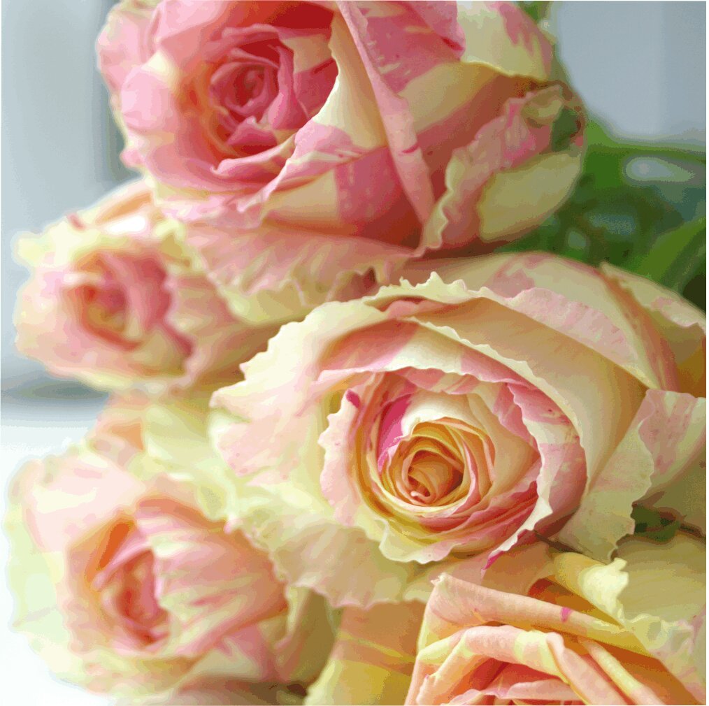 Доставка цветов минск донна роза floral цветы отзывы