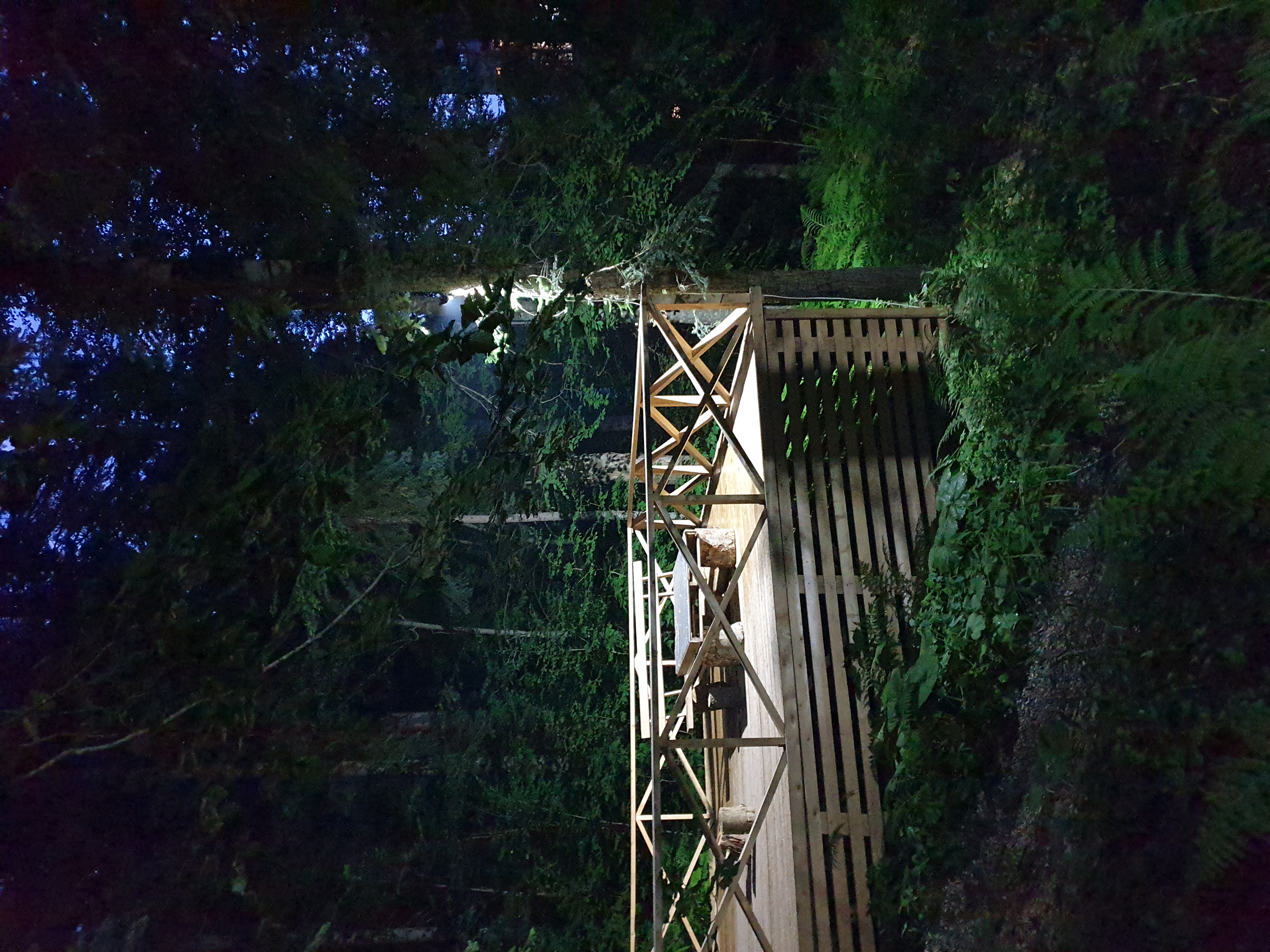 Фото Домик в лесу