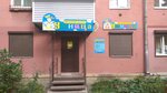 Центр раннего развития детей Умница (ул. Фейгина, 16, Владимир), центр развития ребёнка во Владимире
