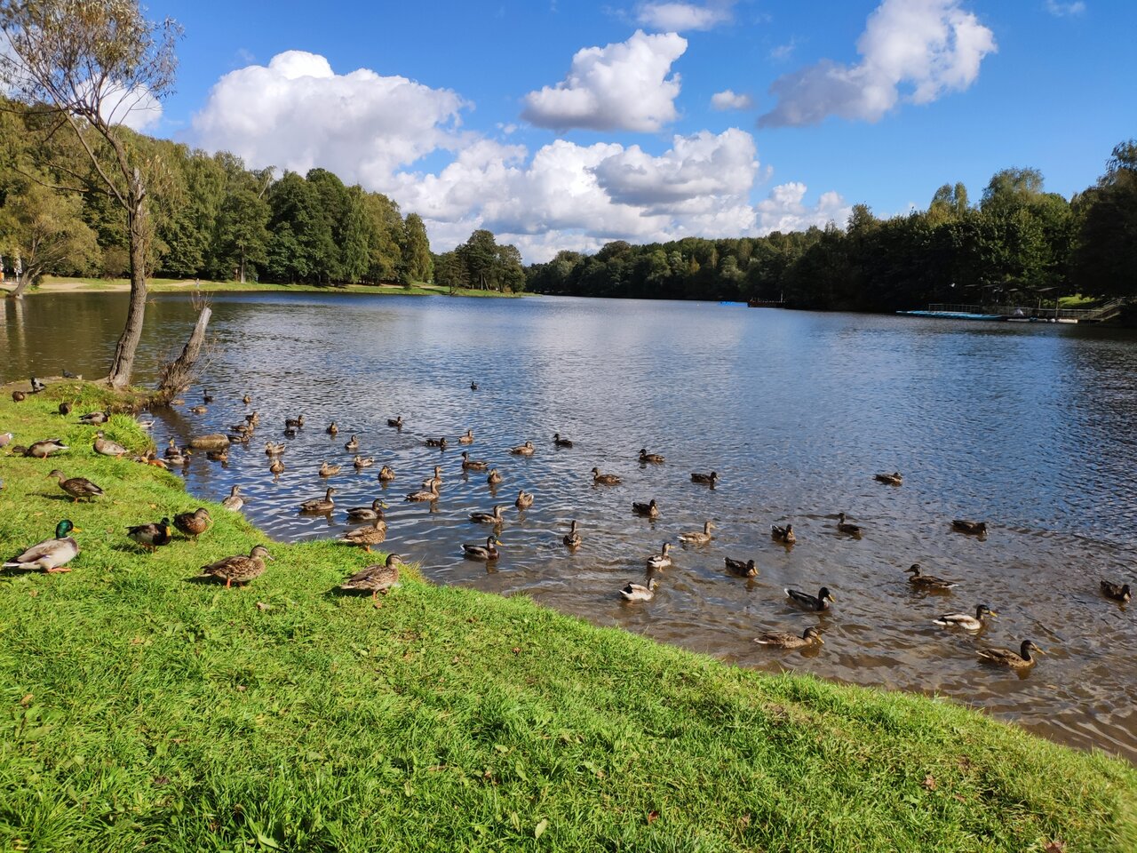Музей-заповедник Кузьминки