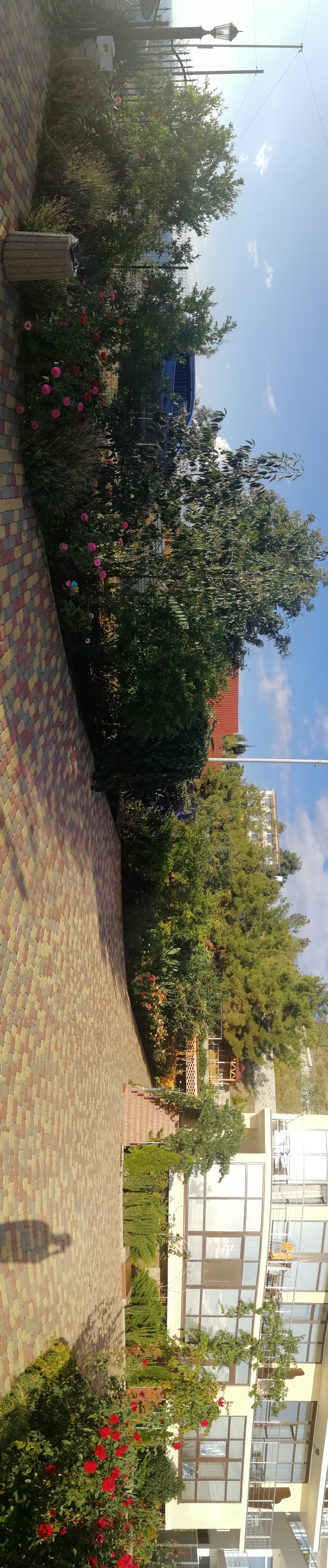 Фото Лукоморье