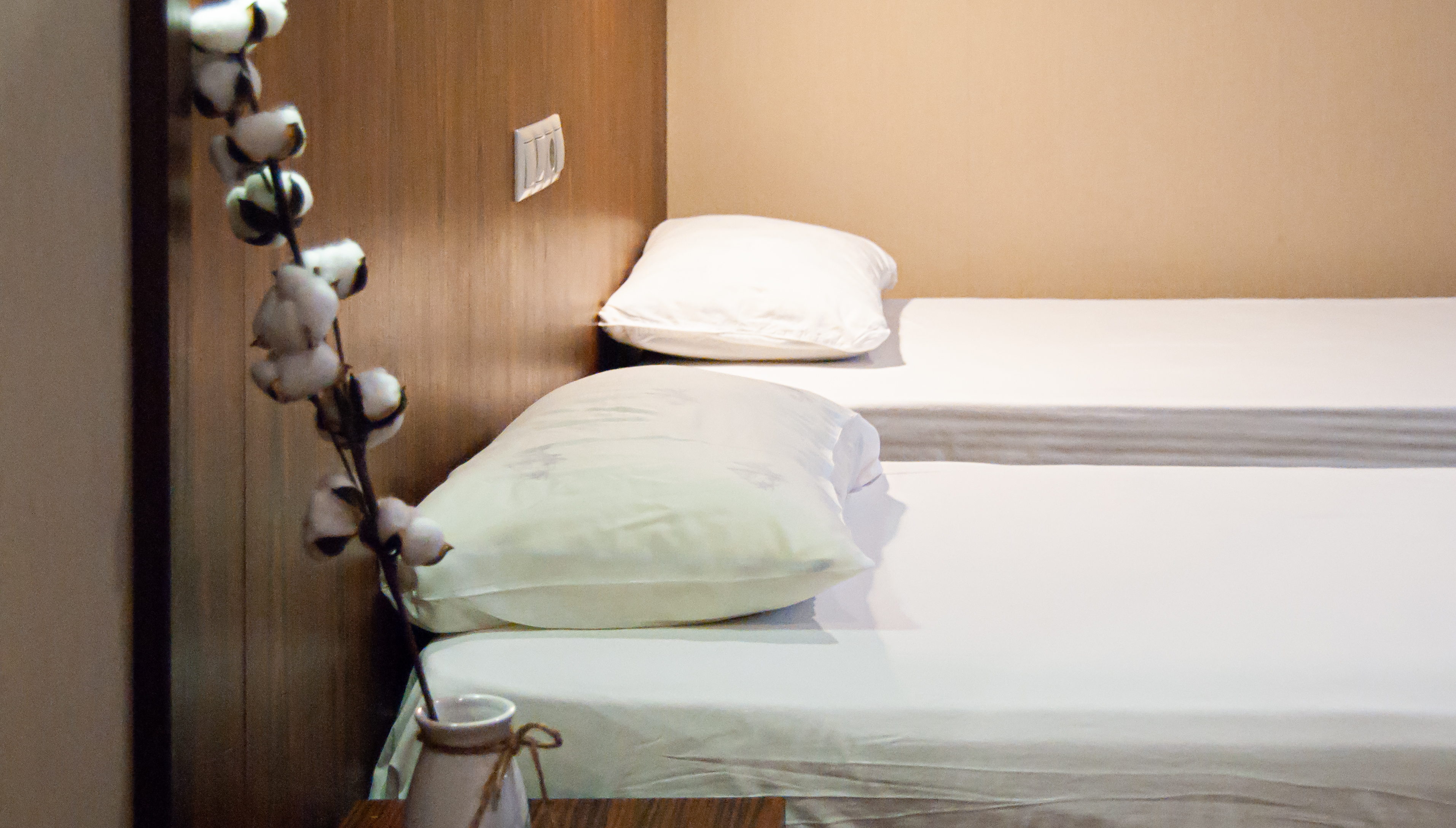 Фото Апельсин