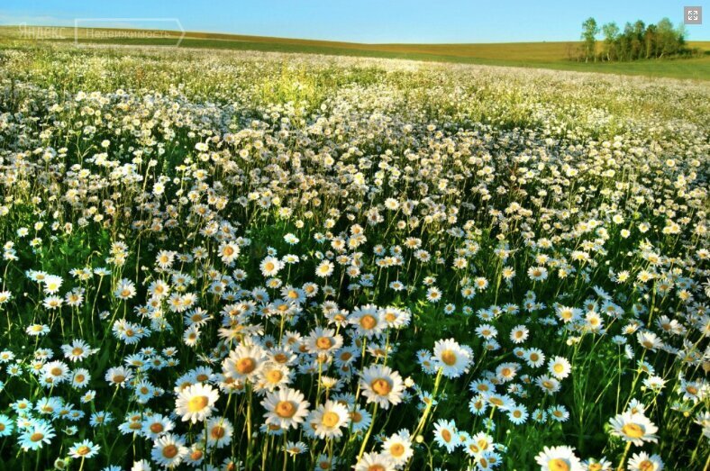 КРАСИВЫЕ КАДРЫ on Instagram: "Добрый вечер, друзья! ⠀ 