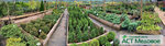 Sadovyy tsentr Ast Medovoye (Leningrad Region, Vsevolozhckiy DIstrict, Agalatovskoye selskoye poseleniye, massiv Skotnoye, Shosseynaya ulitsa, 3), centro de jardinería