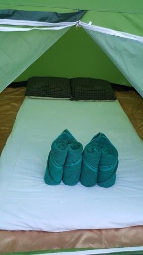 Фото Sports Bar & Resort