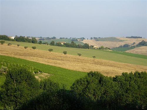 Фото La Quercia del Saggio