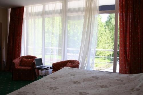 Фото Берёзки