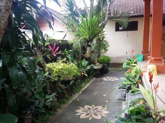 Фото Sudana Homestay