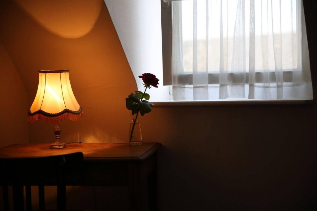 Фото Hotel Du Cygne