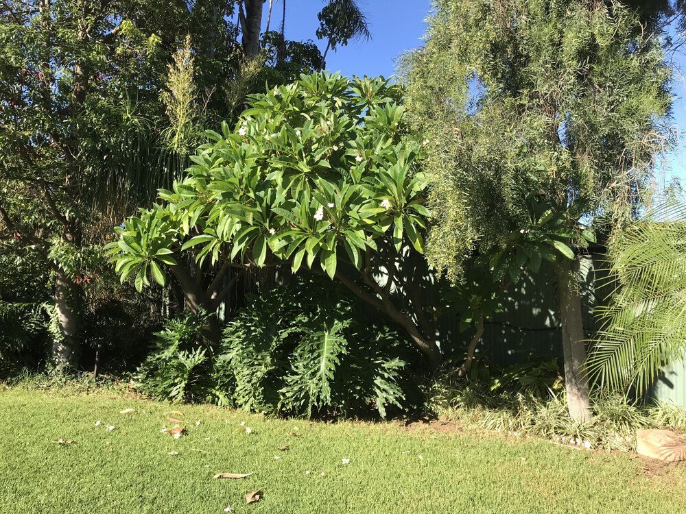 Фото Travelway Motel