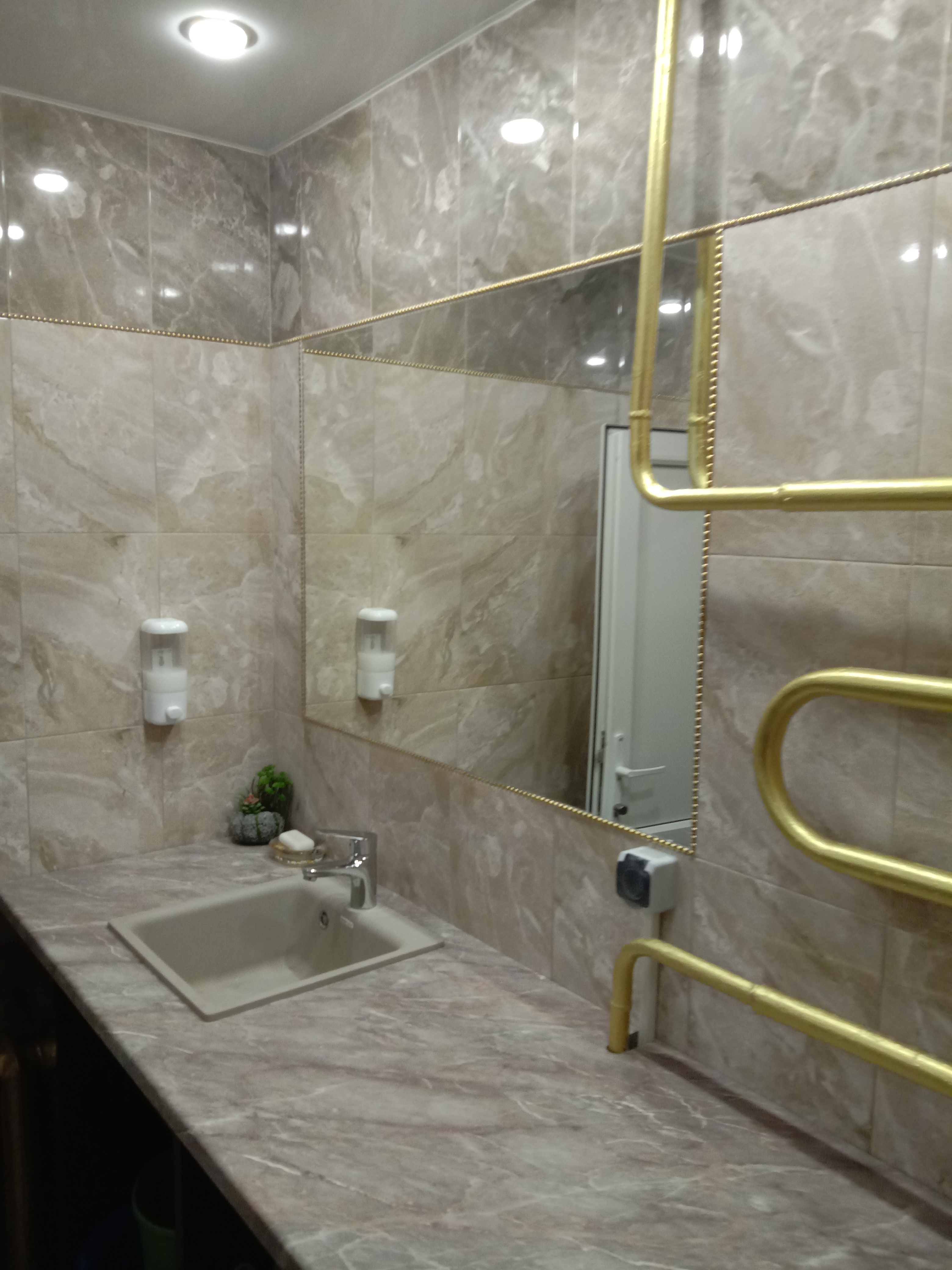 Фото Подсолнух