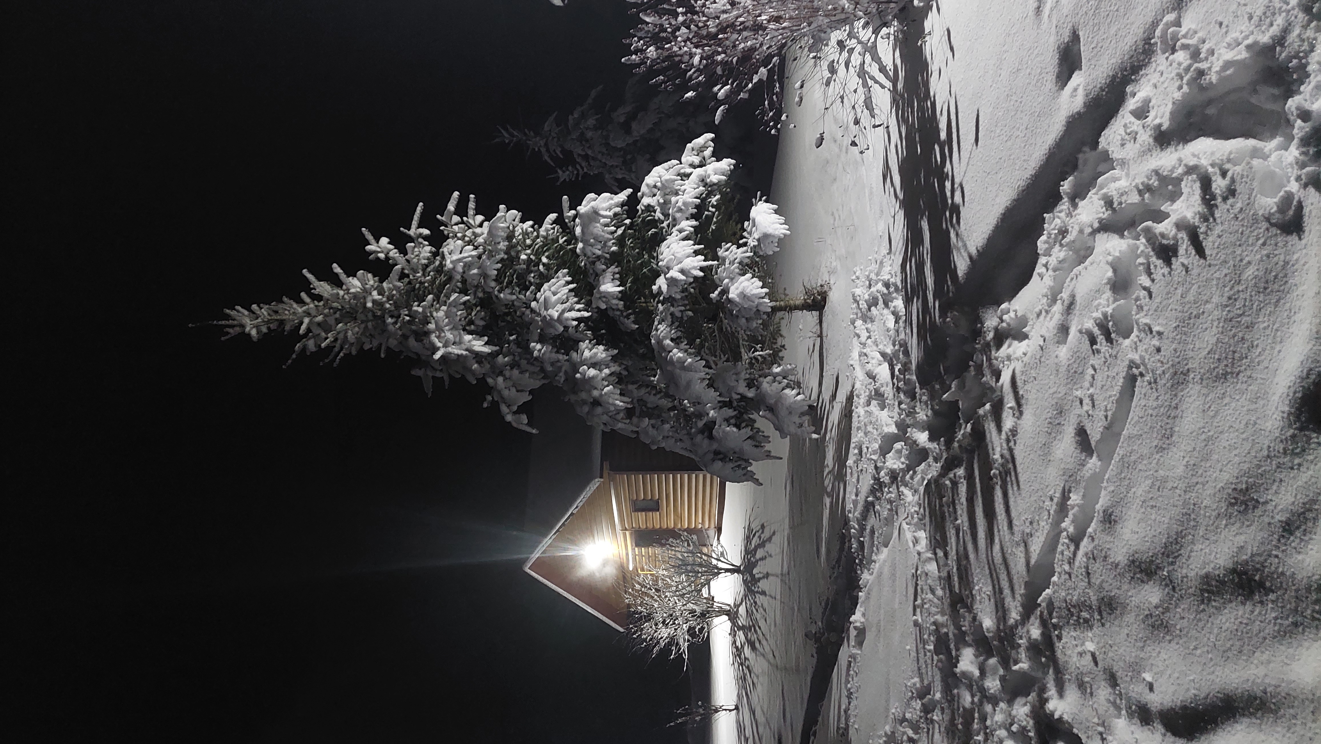 Фото Головинка