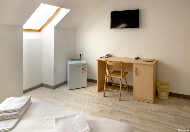 Фото Лаванда