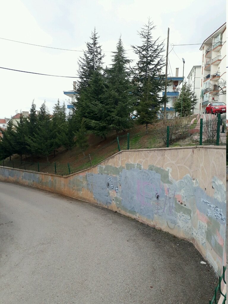 Urban forest Park Children's Playground, Ankara, photo