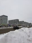 Звезда Сириус (Bumazhnikov Avenue, 53Е), virtual reality club