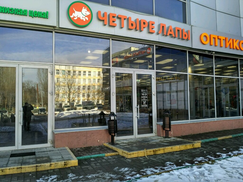 Четыре лапы ул гагарина 5а фото
