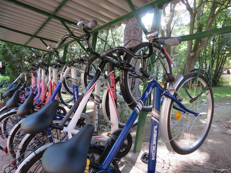 Фото Wellness Hotel Szindbád